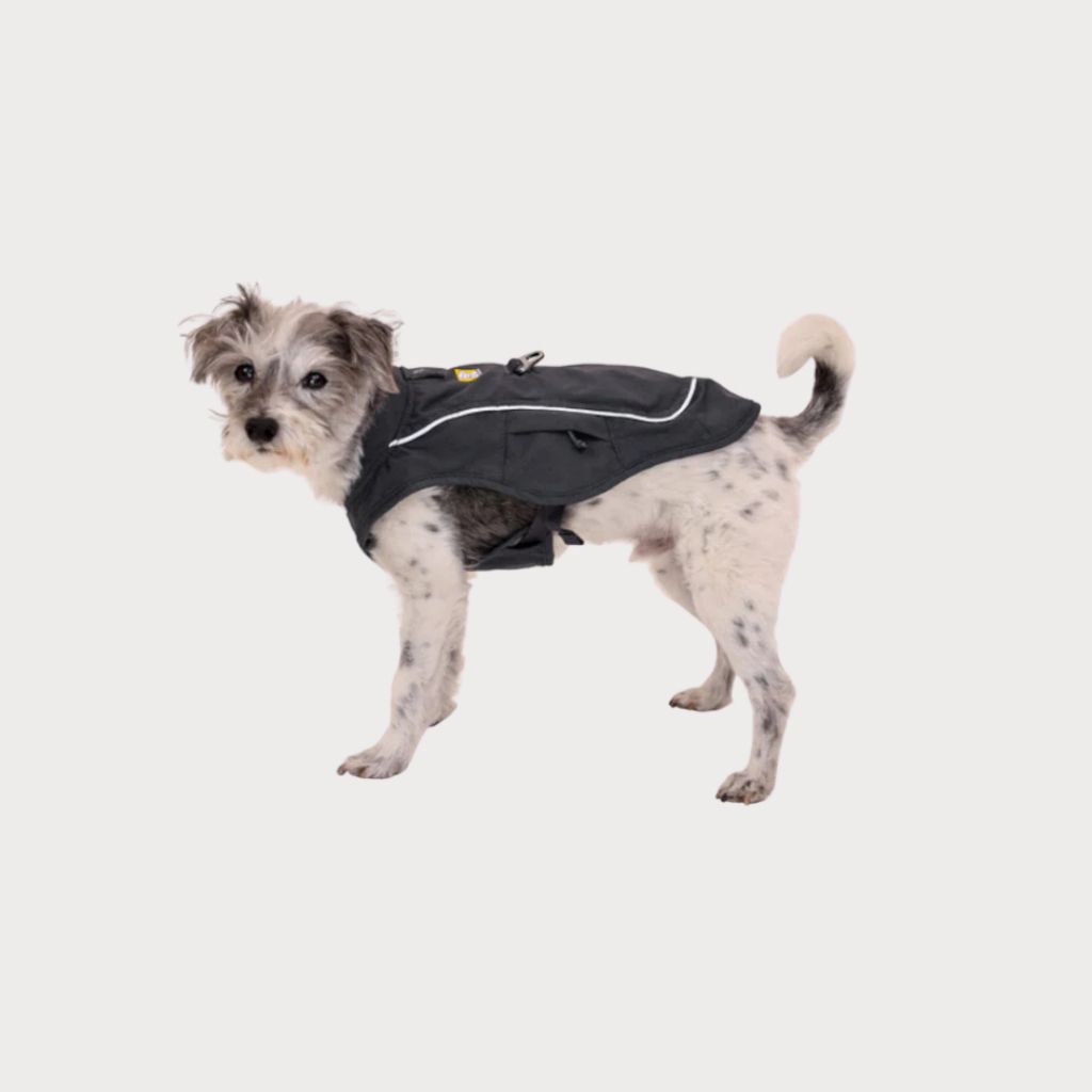 tw-11134207-7rasd-m3d04cefywz144