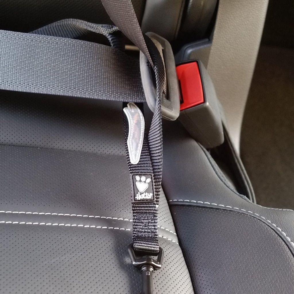 cfd69564cc38139cef914395db3fe644