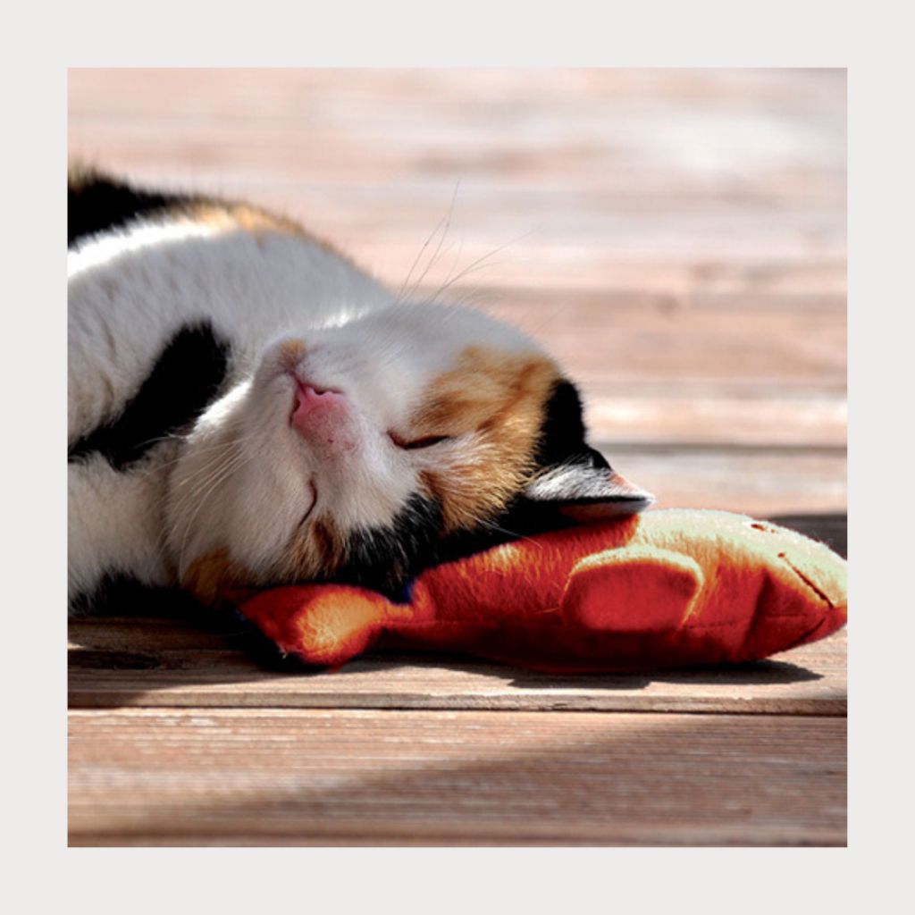 tw-11134207-7rasi-m3lm1076rfbrbb