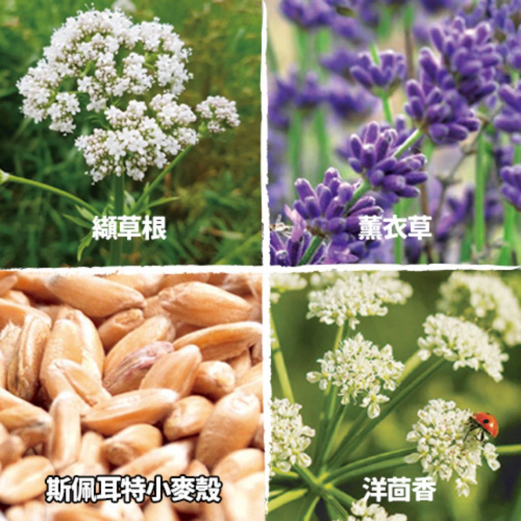 tw-11134207-7rasc-m3lm1ek3qzkq45