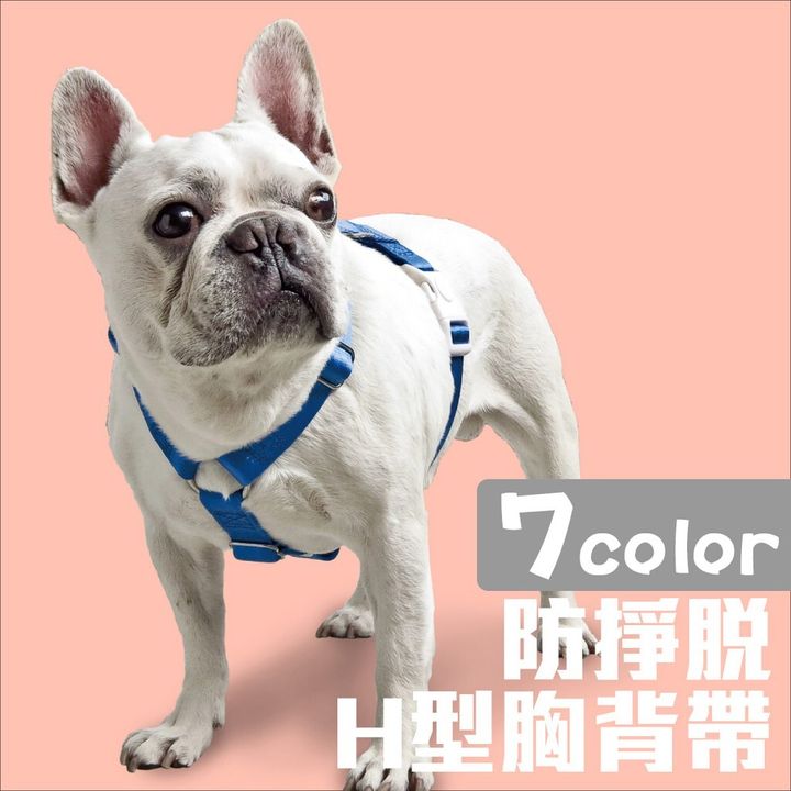 6a6058b267ba4712af5b66f38e39ab48