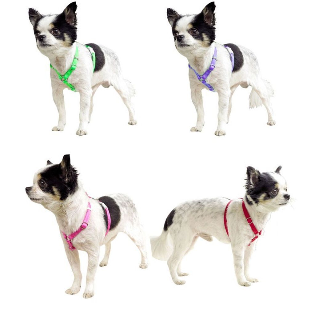 fe60cc5adf6a626e40195ed58bf962ee