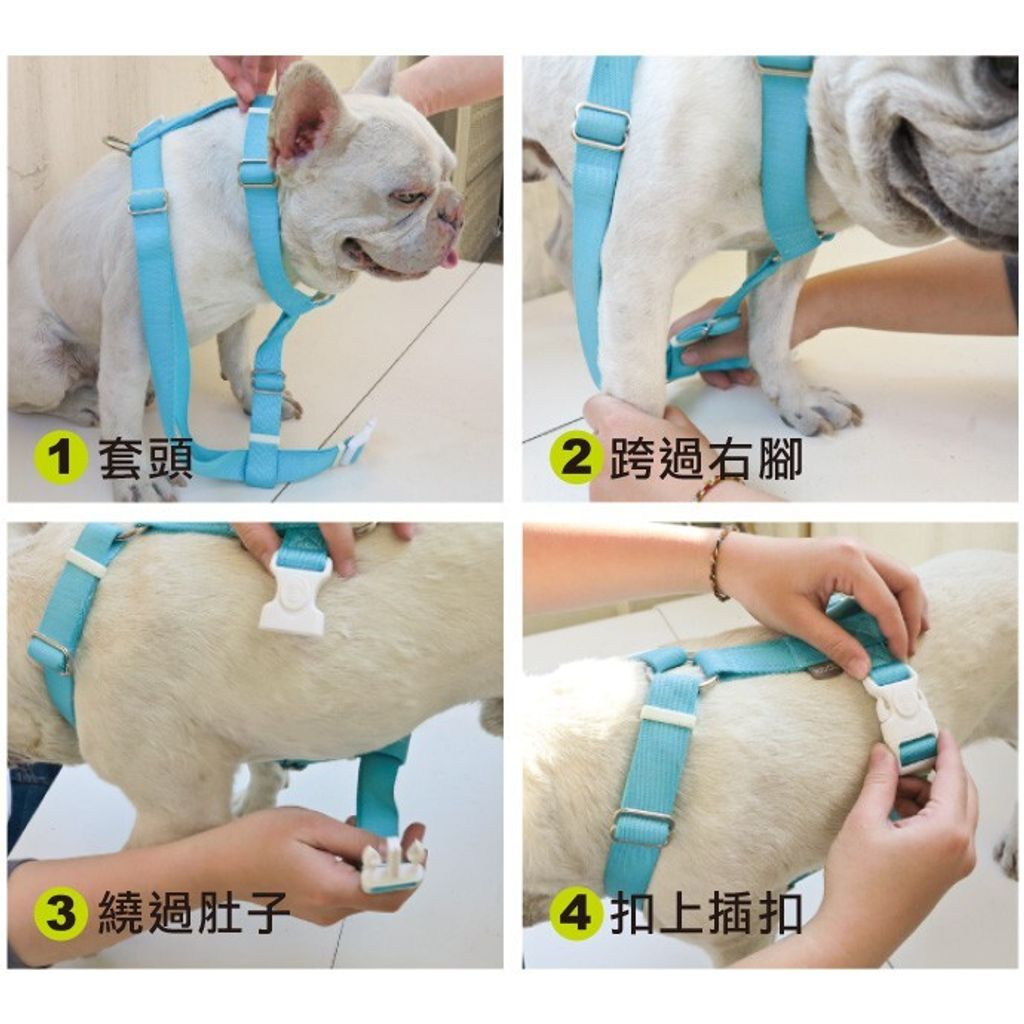 a39fb483d05f04bc434e9dfb98342121