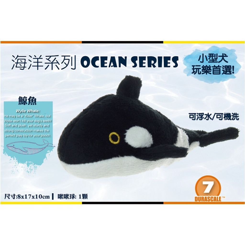 b78bcfc1df8d6e93d1d975ccb881a98e