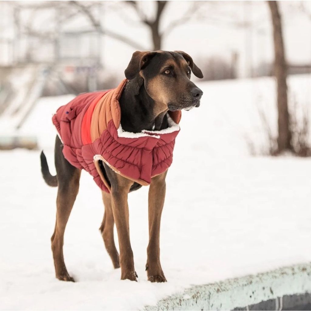 sg-11134201-22120-46nhazeo5qkv50