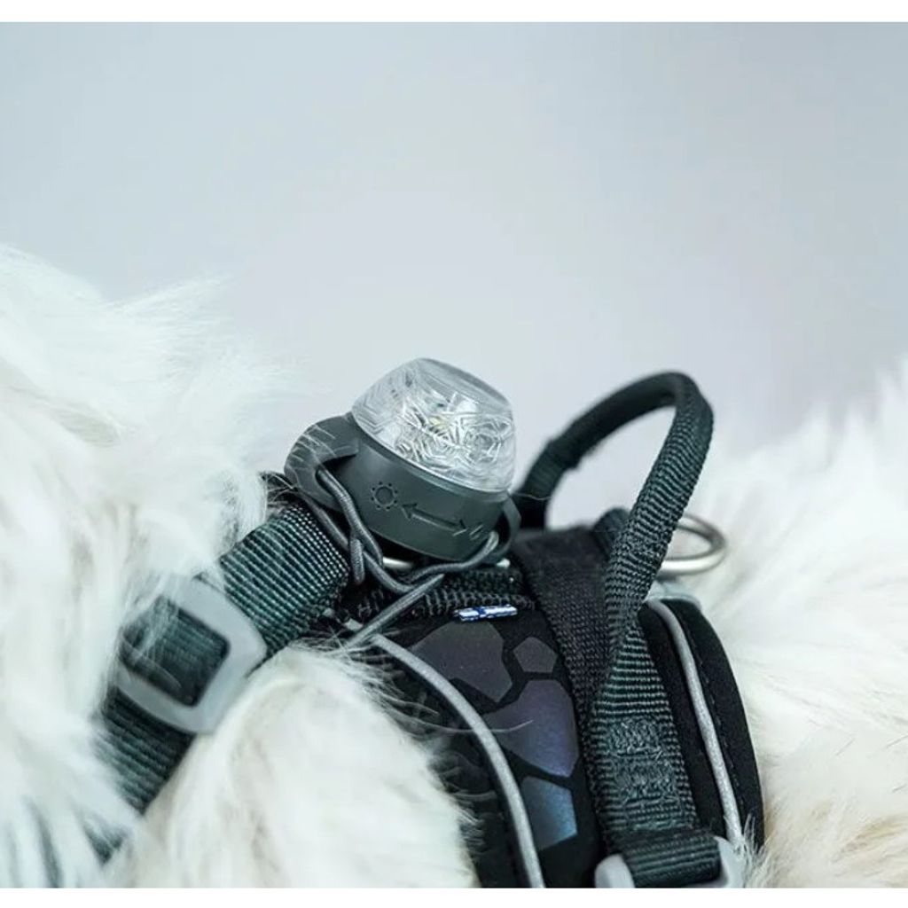 tw-11134207-23030-zti2te933mova1