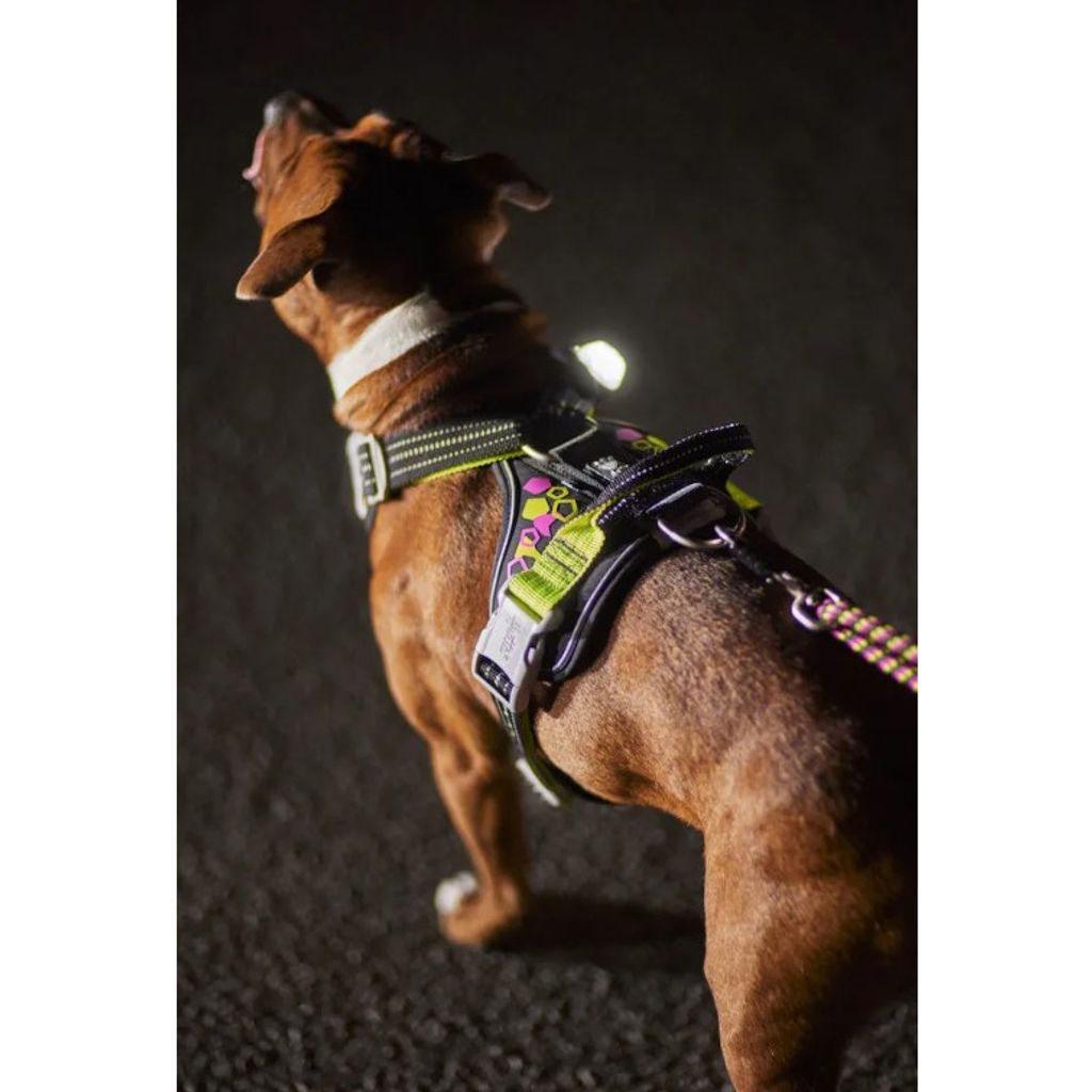 tw-11134207-23030-i4b30d933mov4f