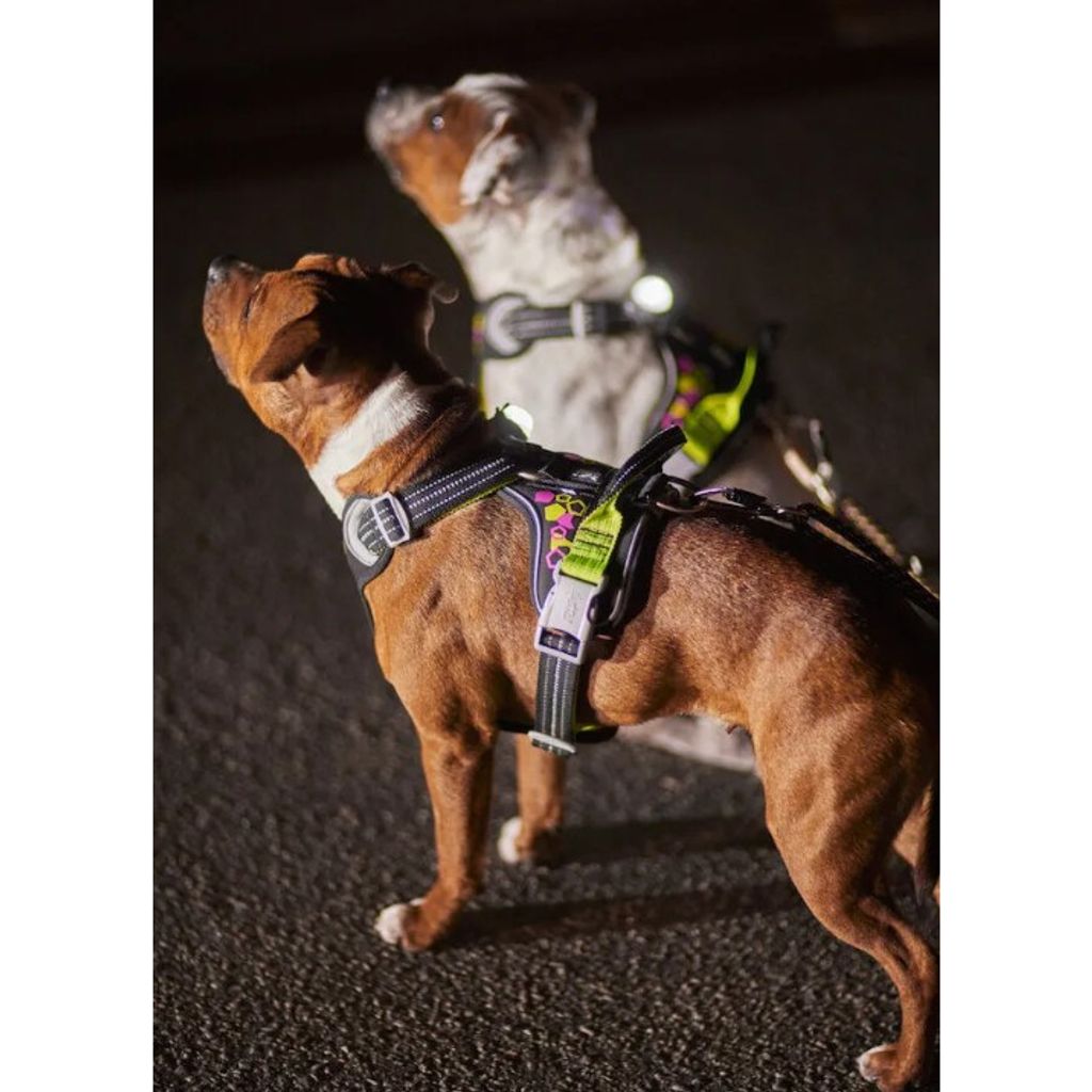 tw-11134207-23030-fayga5833mov46