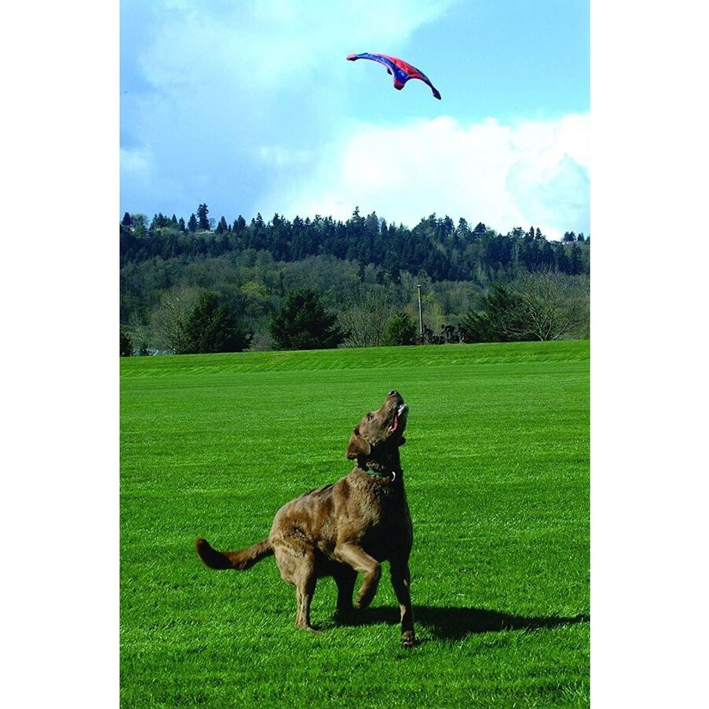 93071d96e3fb8564ae12242425f7c0a8