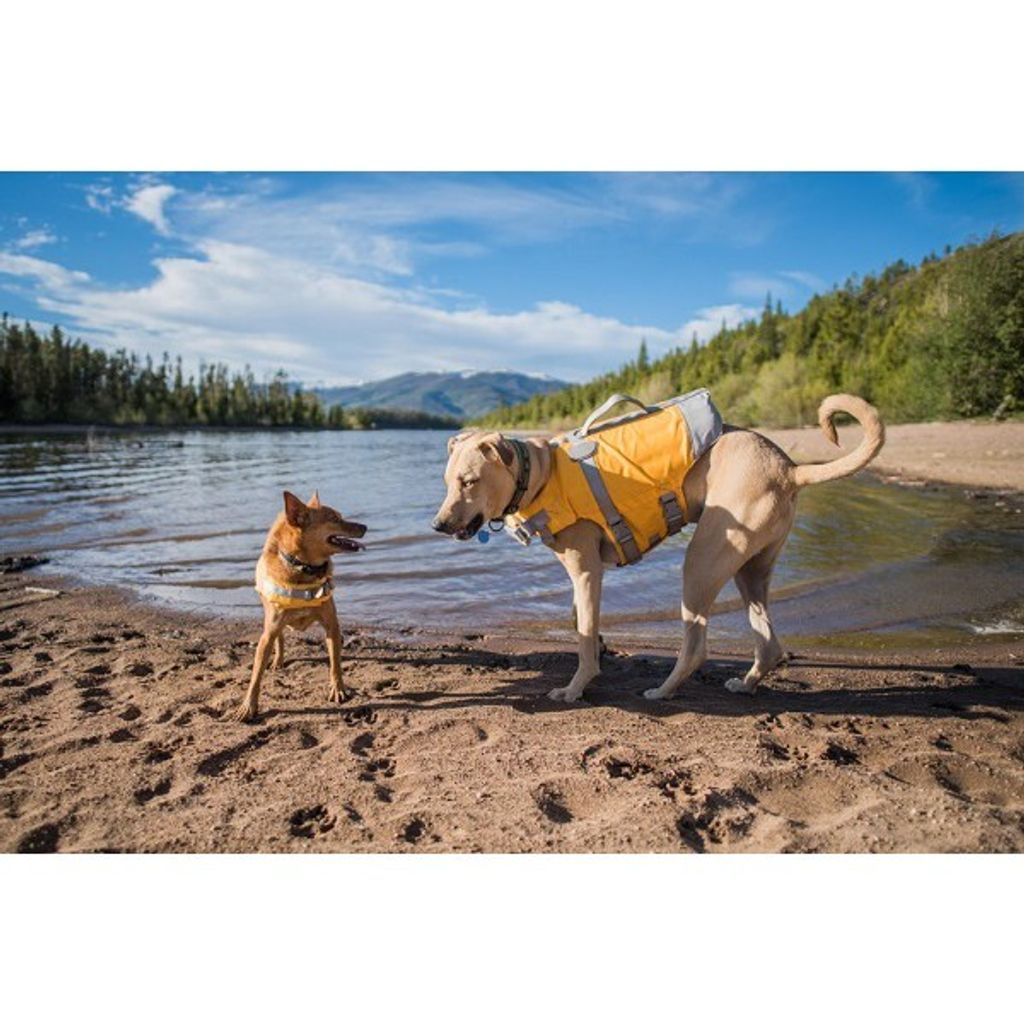 35370661d1298aa53373e49f27211e8d