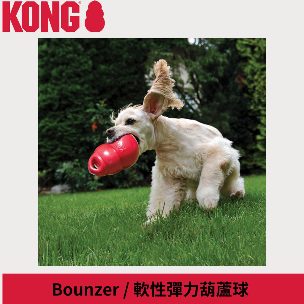 tw-11134207-7r98q-lz5wthee43ku83