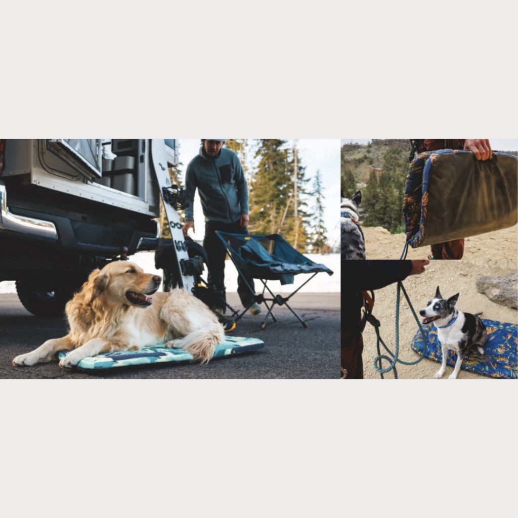 tw-11134207-7ras9-m0tnpxsnbnc776