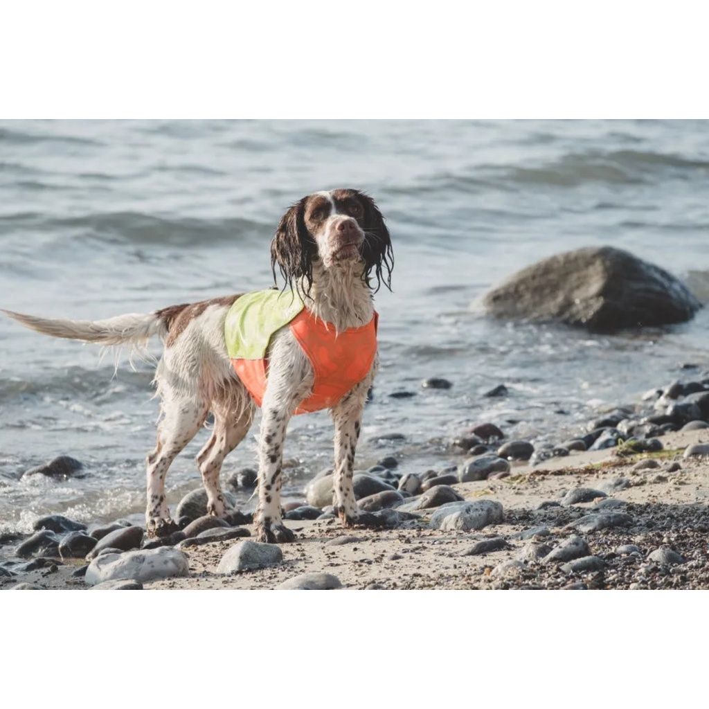 1a2158b2aeaeeb323d0ab930688c74b6