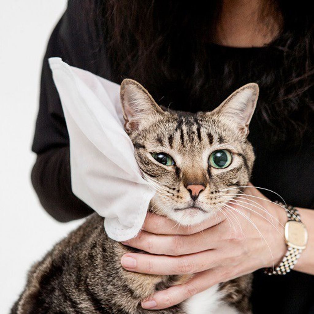 52dda2bae507a2a6dea29becffa41556