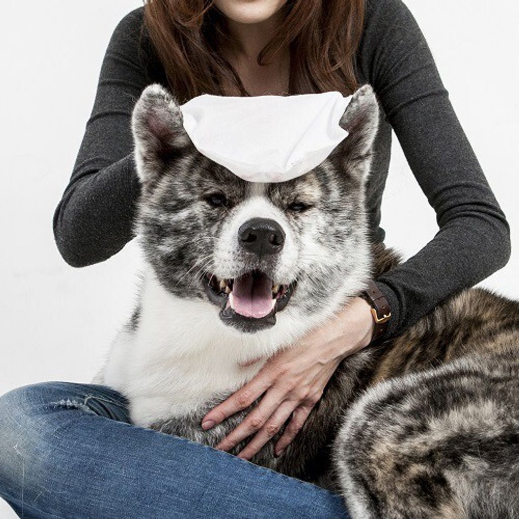 bb17a7ba1220f1d056d61c746e7532ea