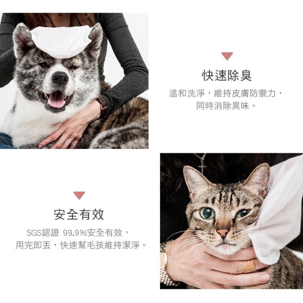 86abd10e02dc3bab2dcf0a0d41573bb8