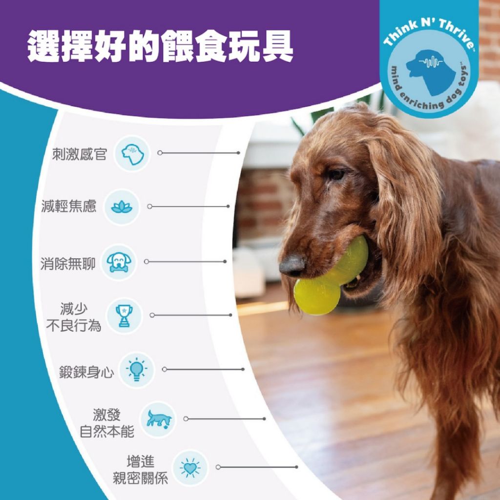 tw-11134207-7r98o-lzr8iwg5l81gc2