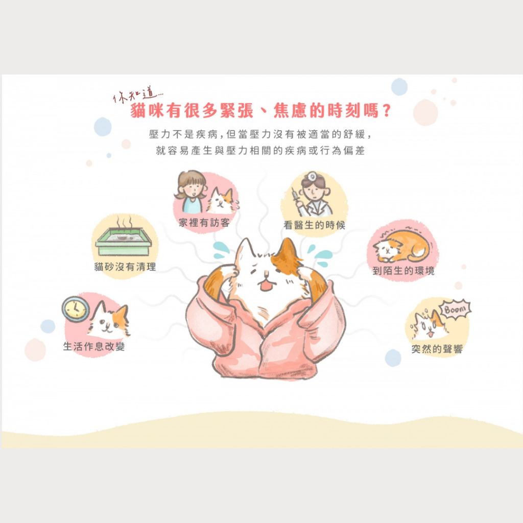 tw-11134207-7ras8-m1f478qpk6sy81