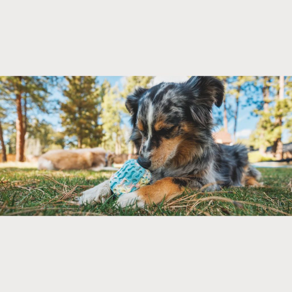 tw-11134207-7rasg-m0k08asxm1ub50