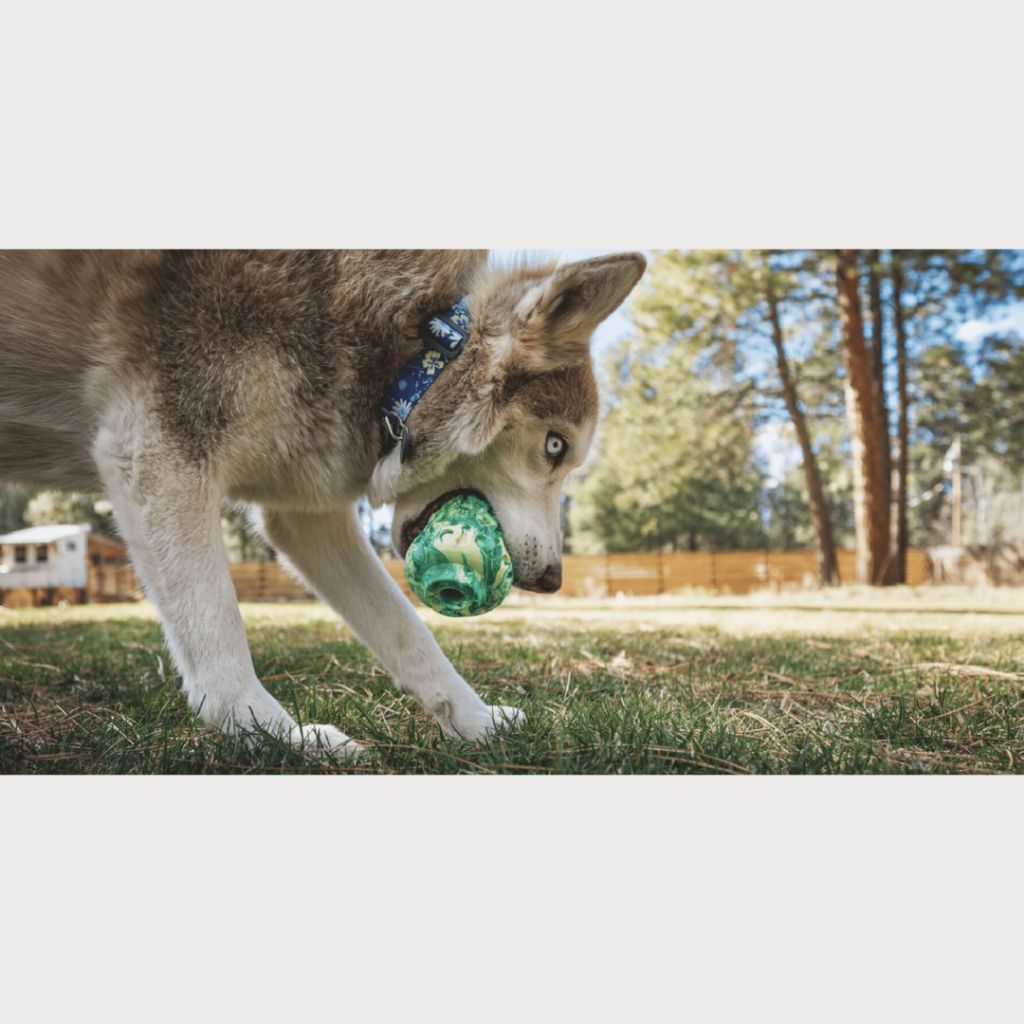 tw-11134207-7rash-m0k08cvukesnc5