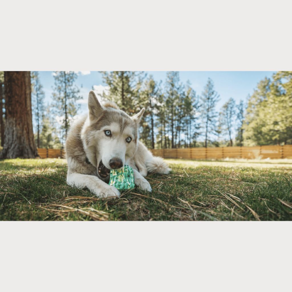 tw-11134207-7ras8-m0k08f5p8n2ra5