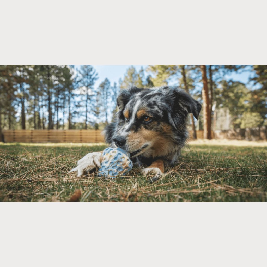 tw-11134207-7rasi-m0k08hkjpjhj47