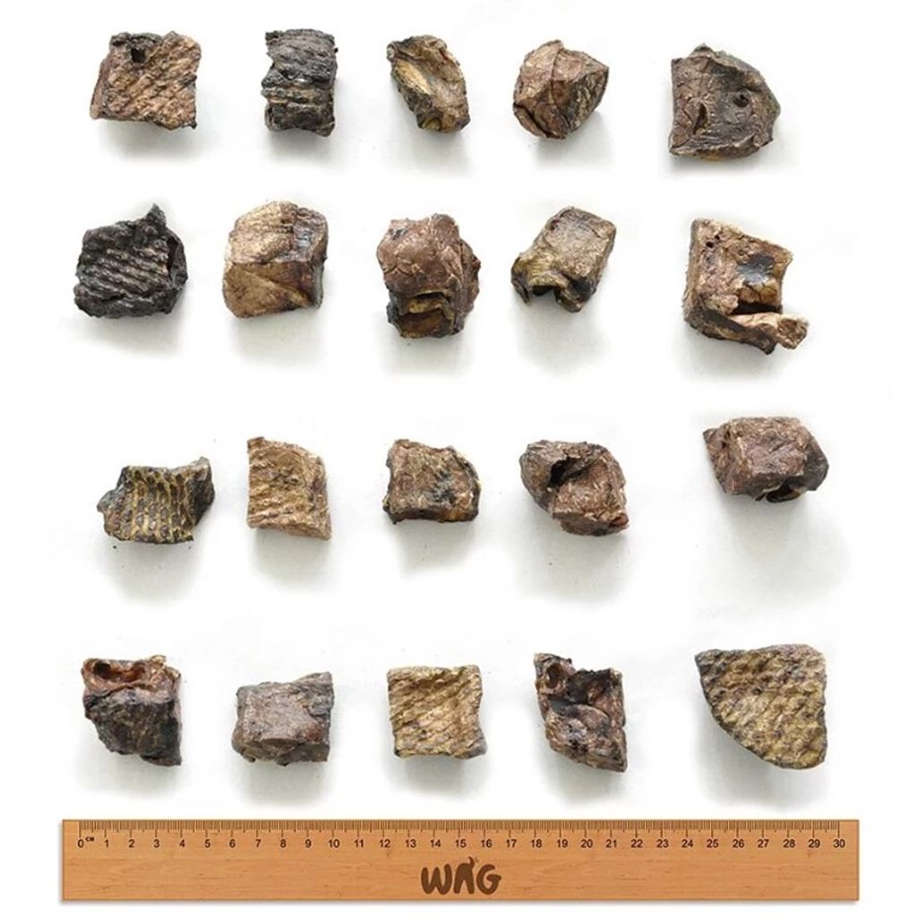 tw-11134207-7r98z-m08kahiuibqf4e