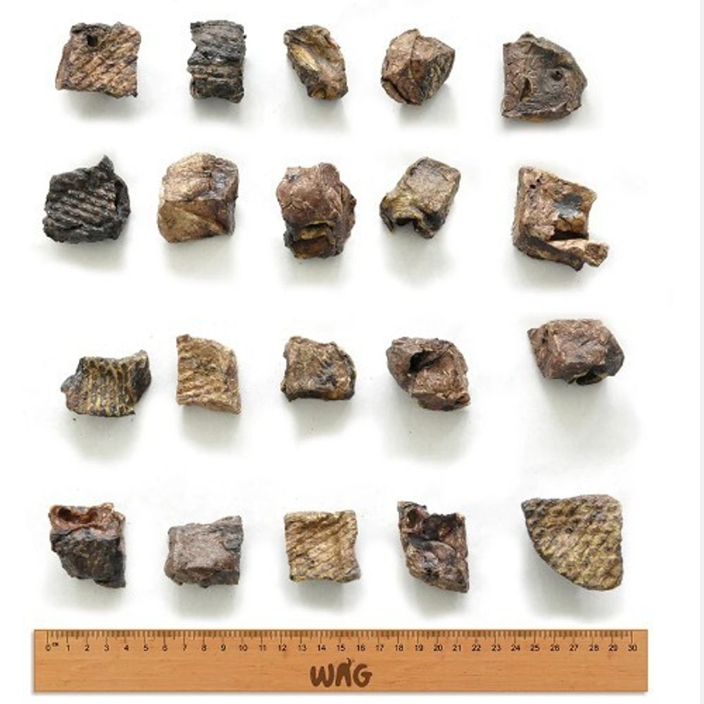 c6c987e35adc436ffe35a1182407f5bc