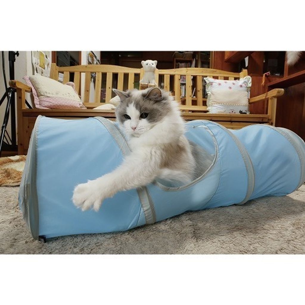 6aa4f809b3365f0a02b37452fb177538