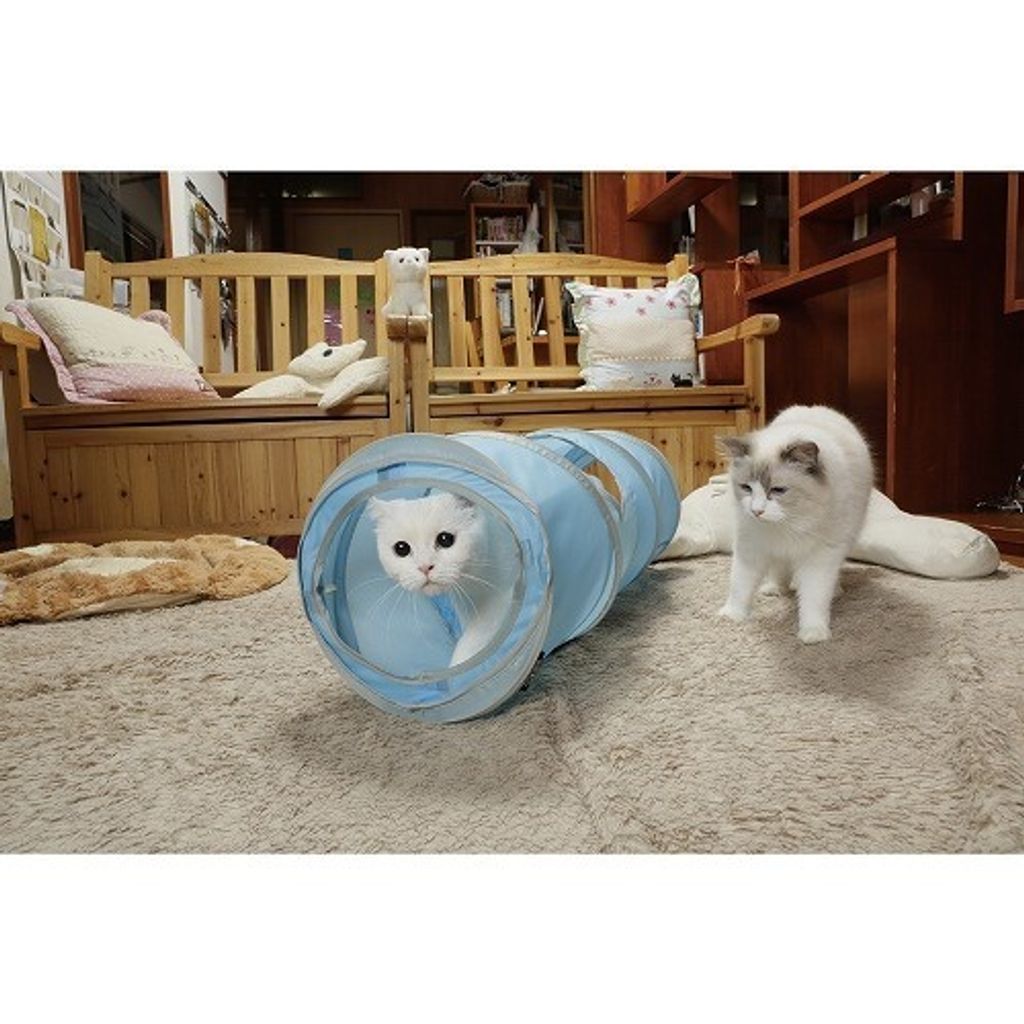 63d5009bb9d701f8dc1b8d953ea670c3