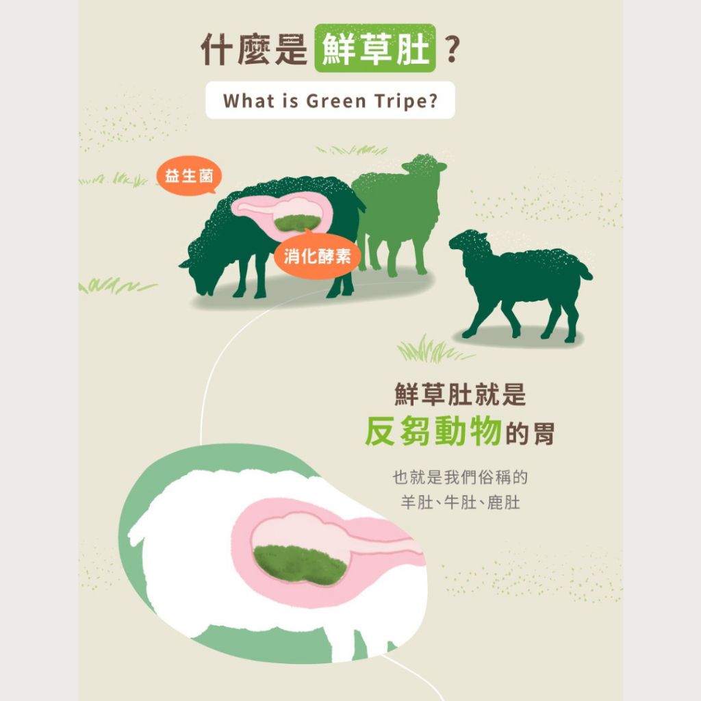 tw-11134207-7rasd-m1nnev6egqh7fd