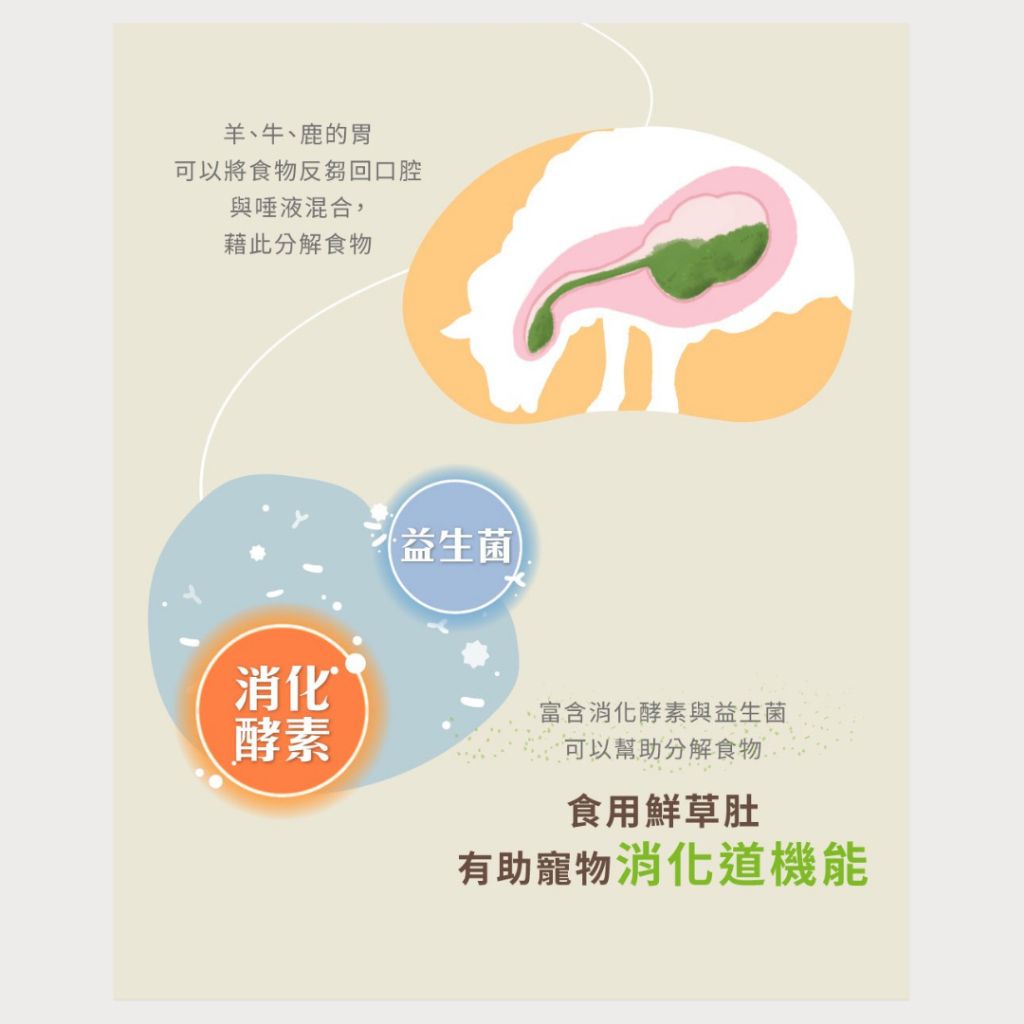 tw-11134207-7rasb-m1nnezyfgzrfab