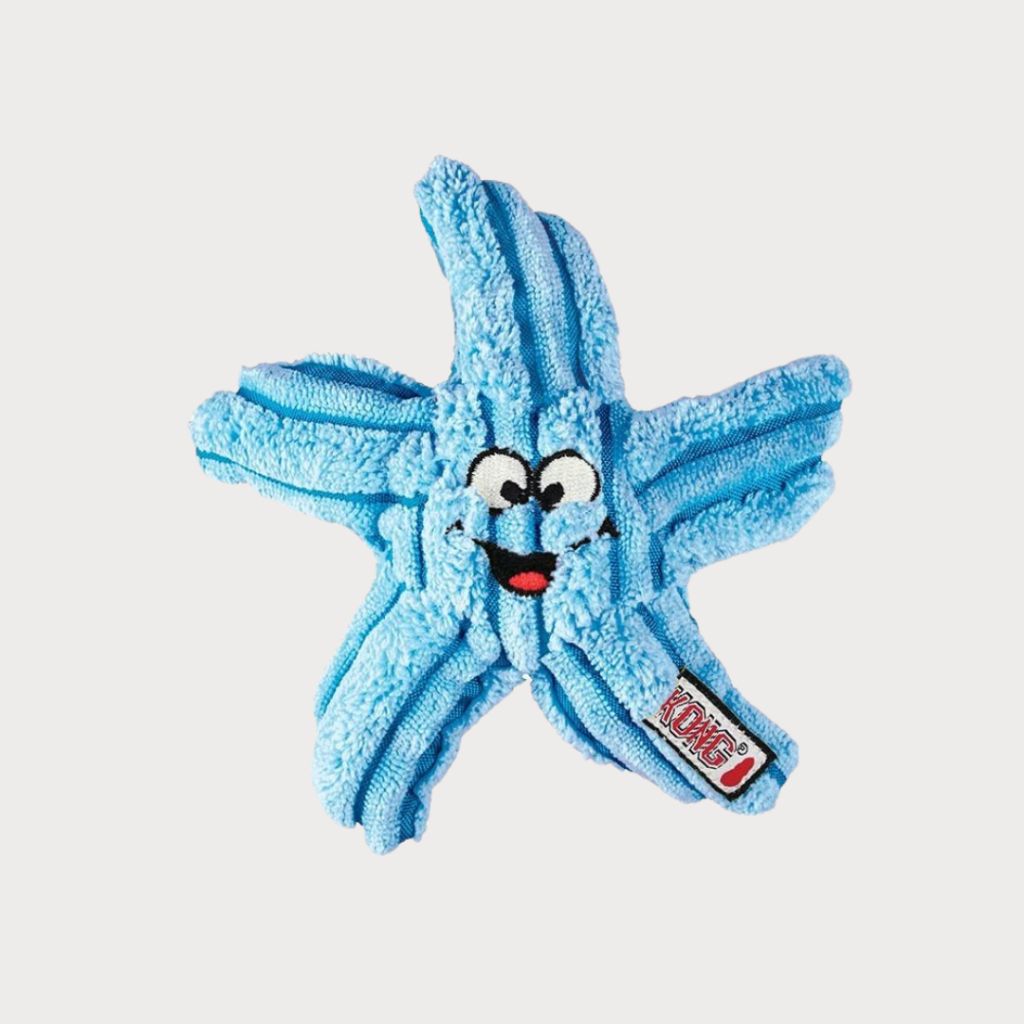 tw-11134207-7r98x-m019dlakpxnj2f