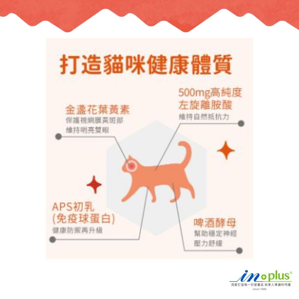 tw-11134207-7r992-lu69ogsulcnh73