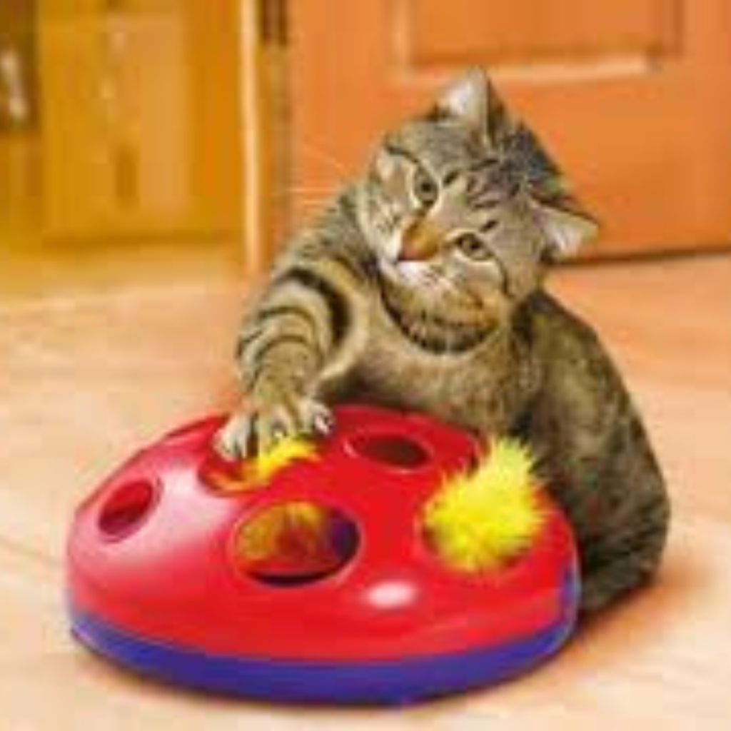 tw-11134207-7r991-m01c18wletv907