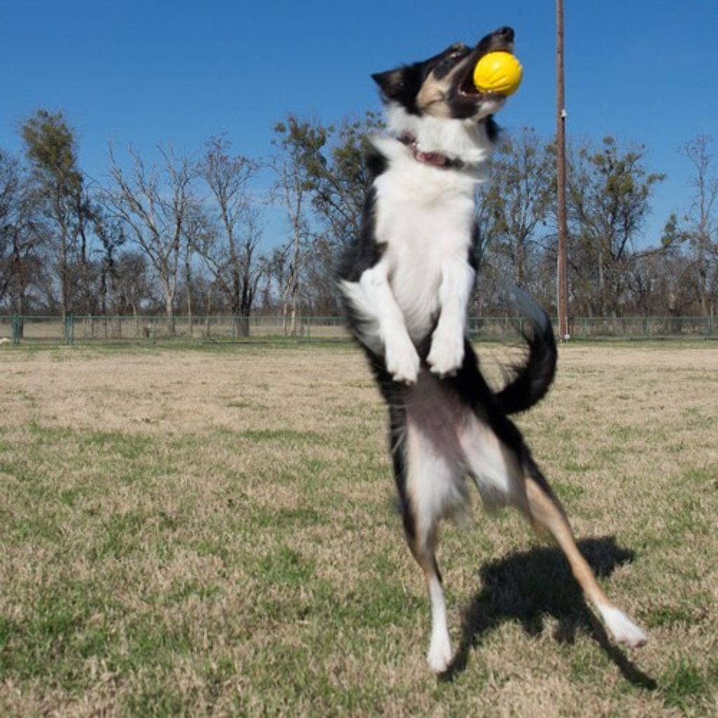 7e825da0e82c0eb64cdba0adc5a85ff1