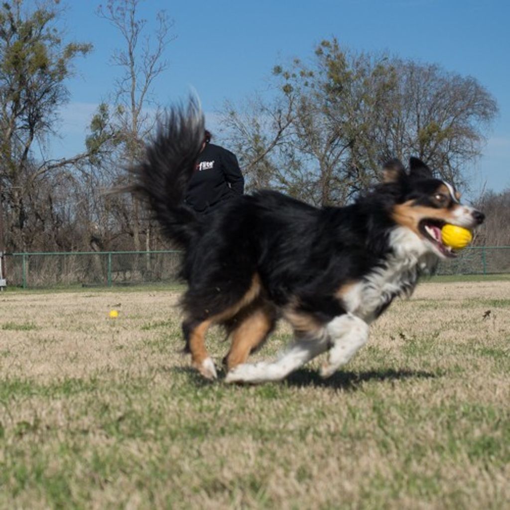 0f482cf0da4fbaf0740f12084391e053