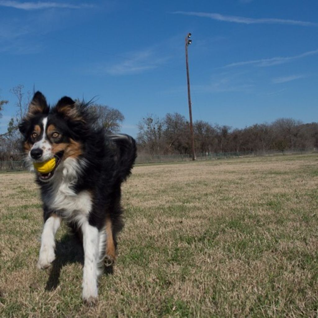 277a23736251f15c502c5720cead39f3