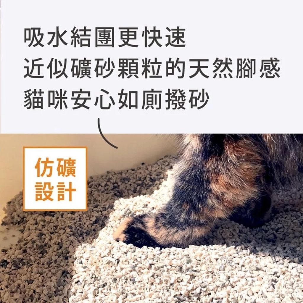 2503e53589a0c1ed9c02d5a9894a3631