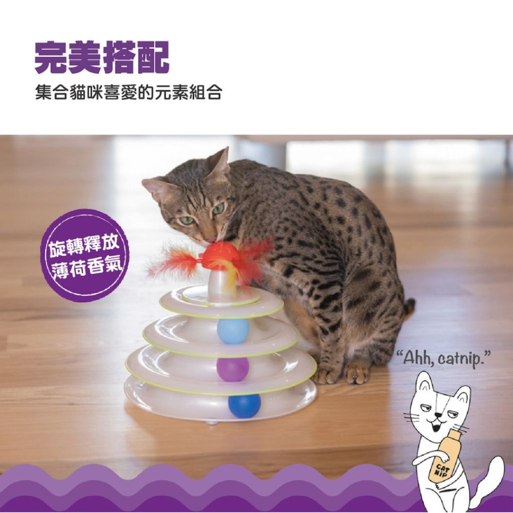 tw-11134207-7r98t-lzr8vikn2lni46