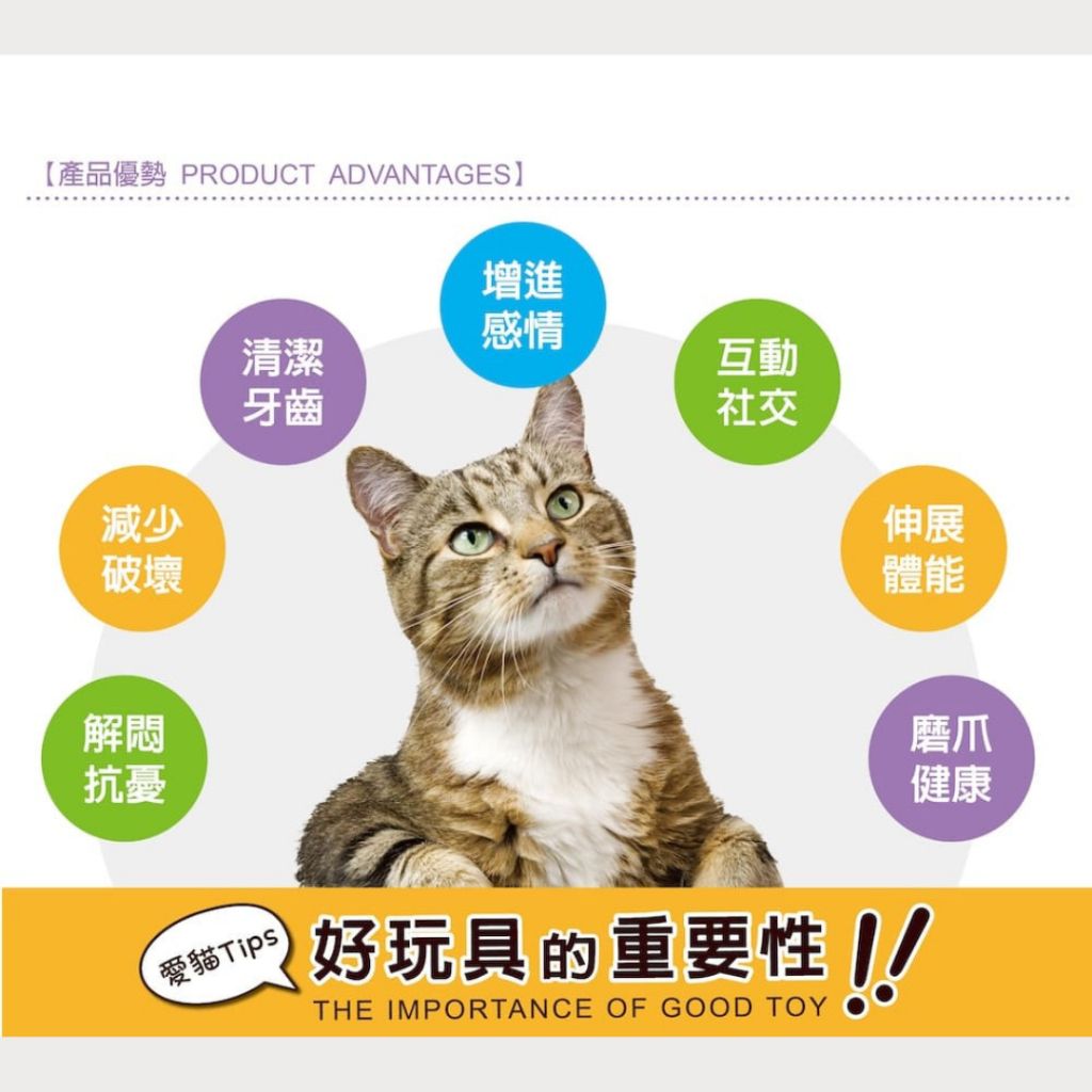 tw-11134207-7r98y-lzr8w0bx33ecc3