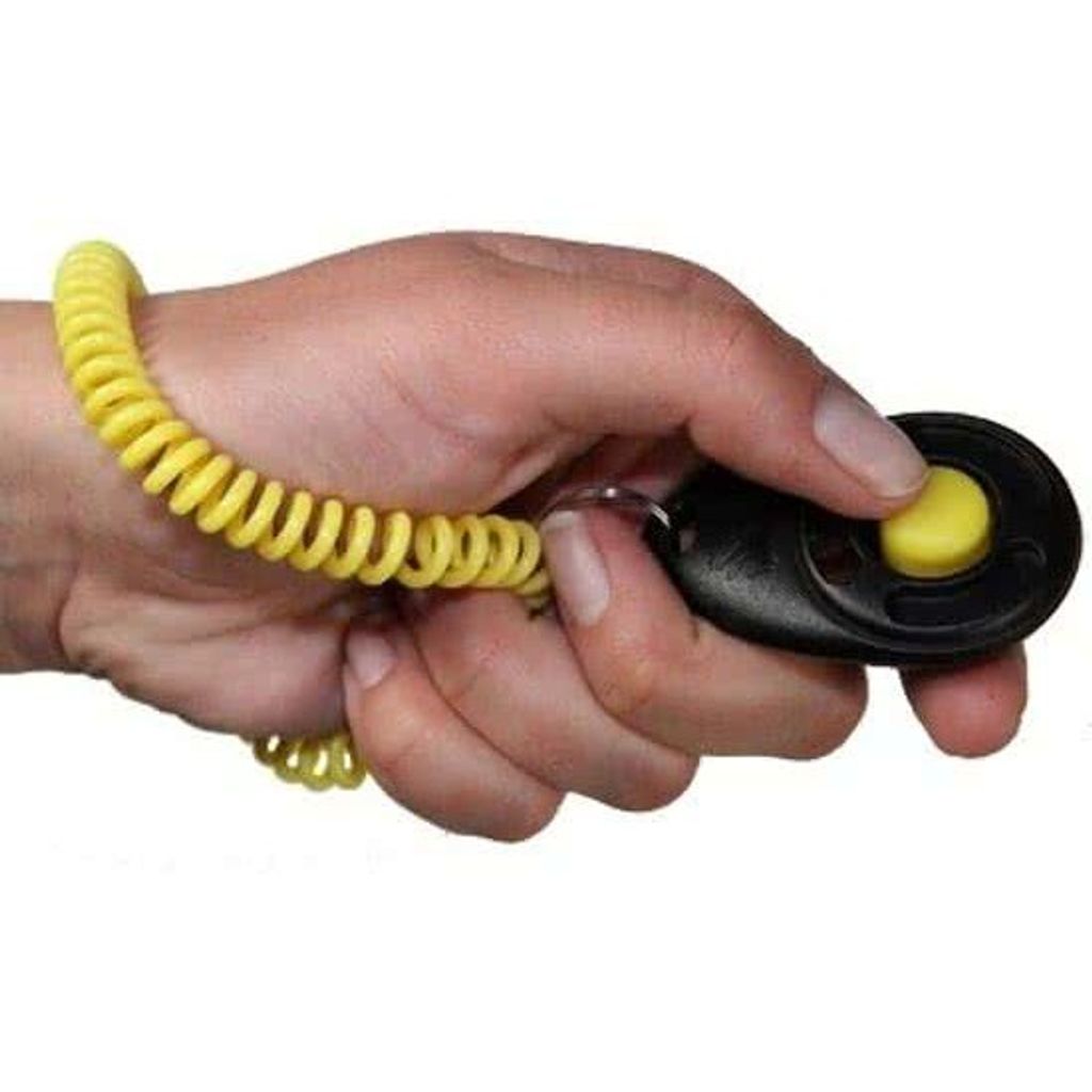 2aa4371434f83206d280d11d3d5d72bb