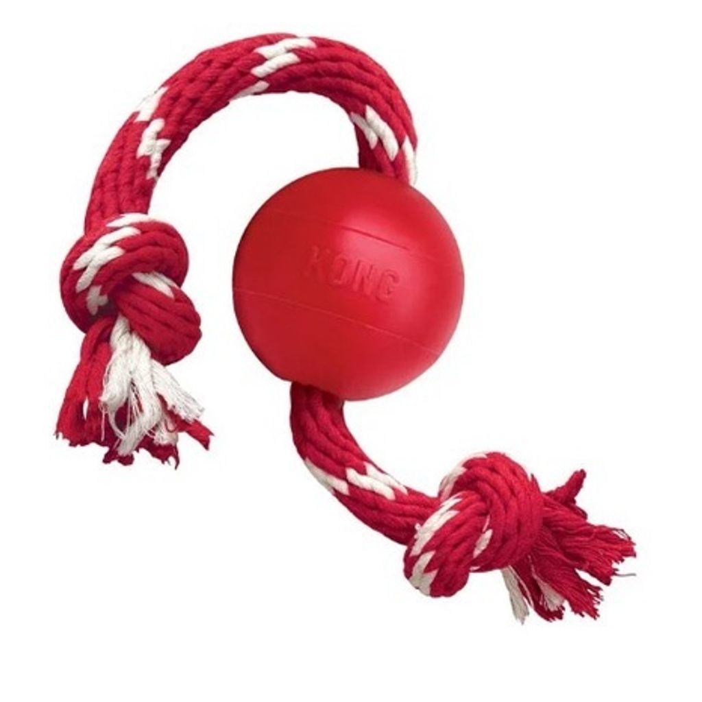 sg-11134201-22110-sb4ynqhoefkvfa