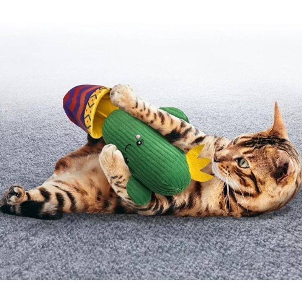 sg-11134201-22120-1i8ln6i3fzkv6a