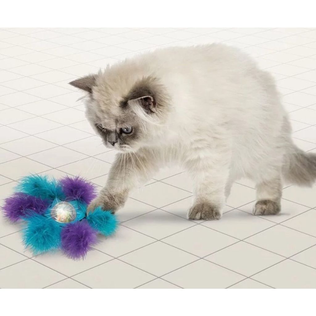 sg-11134201-22120-vrfnvbr671kv4e