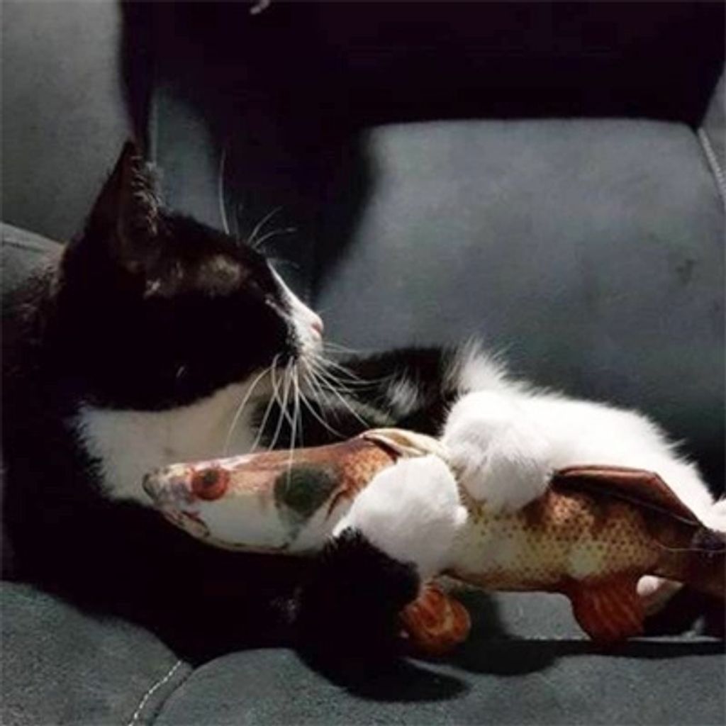 089e47349a2189f760649c565e3a1411