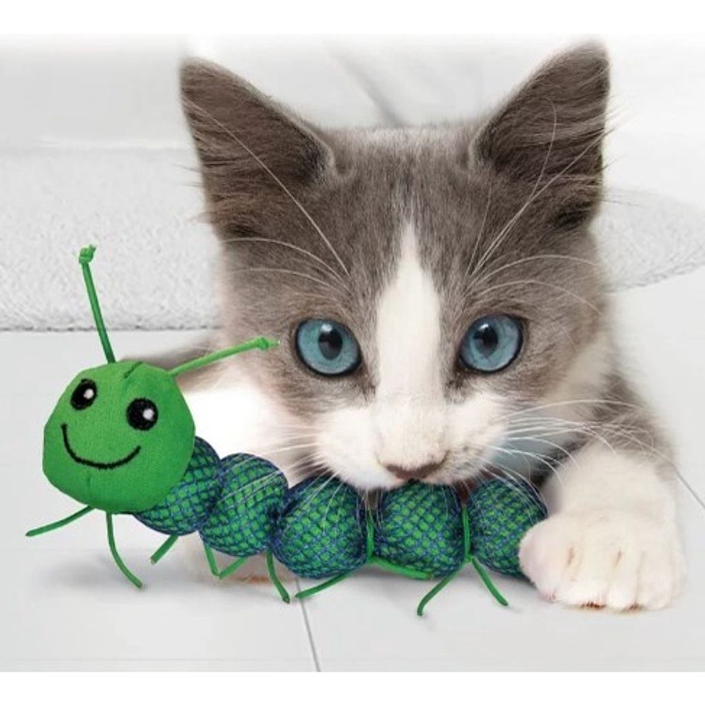 sg-11134201-22120-n77oa50yz1kv61