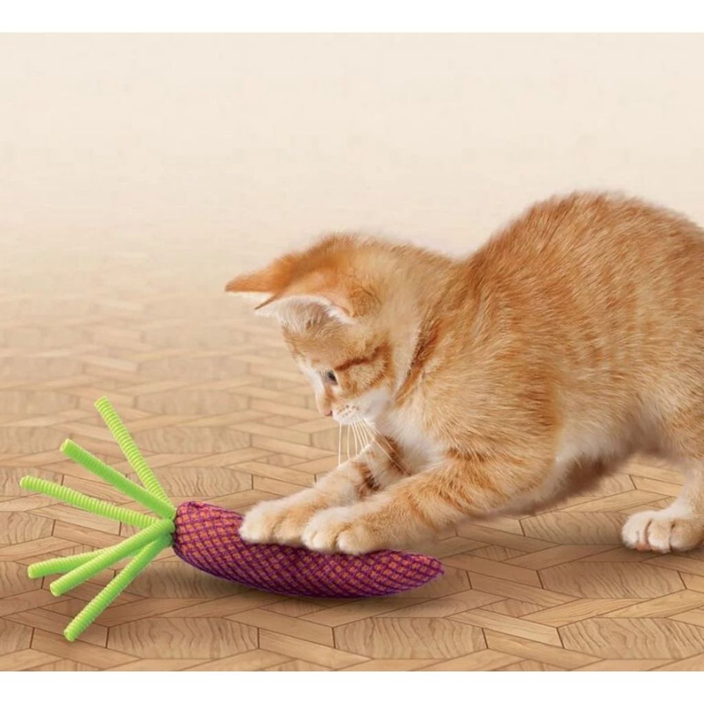 sg-11134201-22120-aupnwe8yz1kvf4