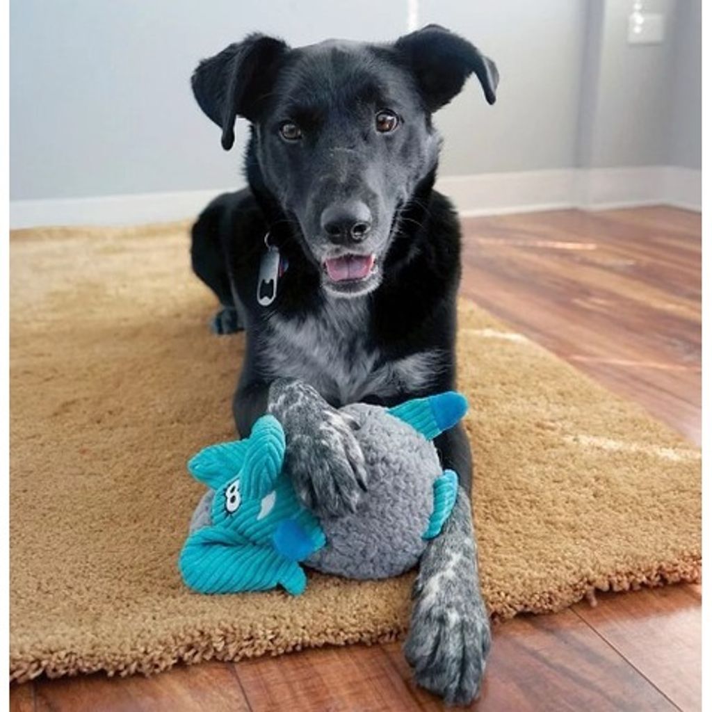 sg-11134201-22120-ojtsyl6lujkv40