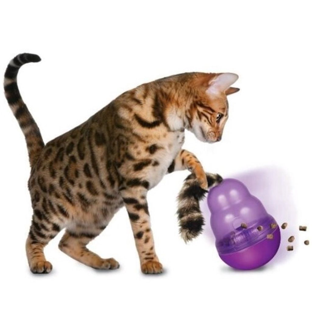 sg-11134201-22120-oj27uen02tkvd6